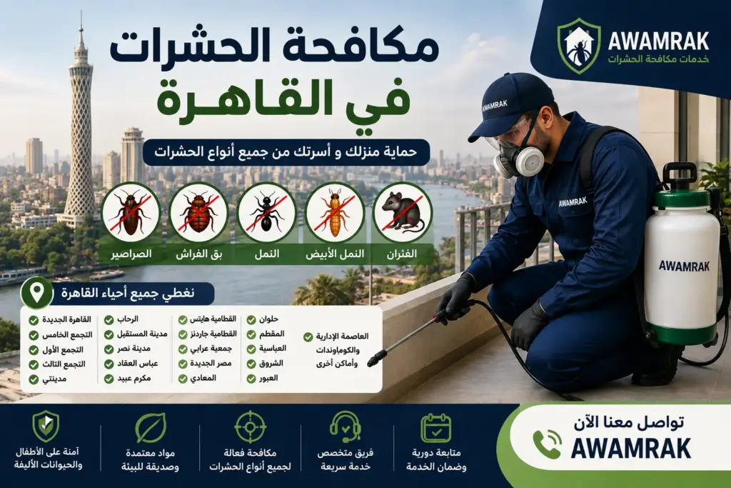 شركة مكافحة الحشرات في القاهرة